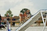 zomer wedstrijd someren zondag