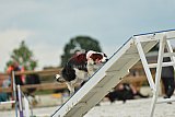 zomer wedstrijd someren zondag