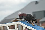 zomer wedstrijd someren zondag