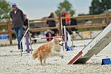 zomer wedstrijd someren zondag