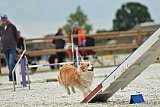 zomer wedstrijd someren zondag