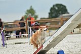 zomer wedstrijd someren zondag