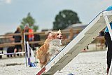 zomer wedstrijd someren zondag