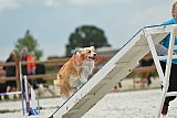 zomer wedstrijd someren zondag