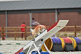 zomer wedstrijd someren zondag