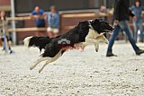 zomer wedstrijd someren zondag