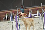 zomer wedstrijd someren zondag