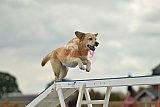 zomer wedstrijd someren zondag