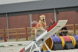 zomer wedstrijd someren zondag