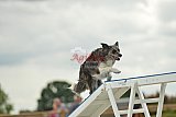 zomer wedstrijd someren zondag