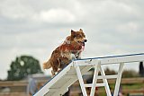zomer wedstrijd someren zondag