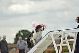 zomer wedstrijd someren zondag