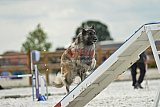 zomer wedstrijd someren zondag