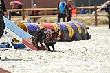 zomer wedstrijd someren zondag