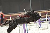 zomer wedstrijd someren zondag