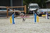zomer wedstrijd someren zondag